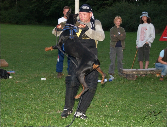 Summer training camp - Jelenec - 2007